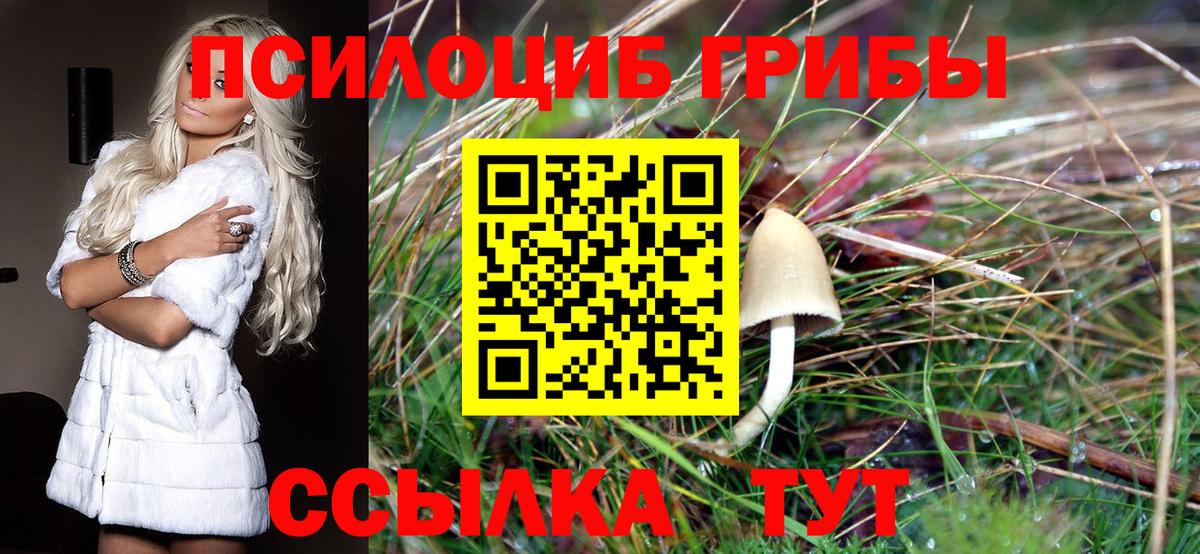Псилоцибиновые грибы ЛСД  Псилоцибиновые грибы прущие грибы  Заречный  Вход с VPN 